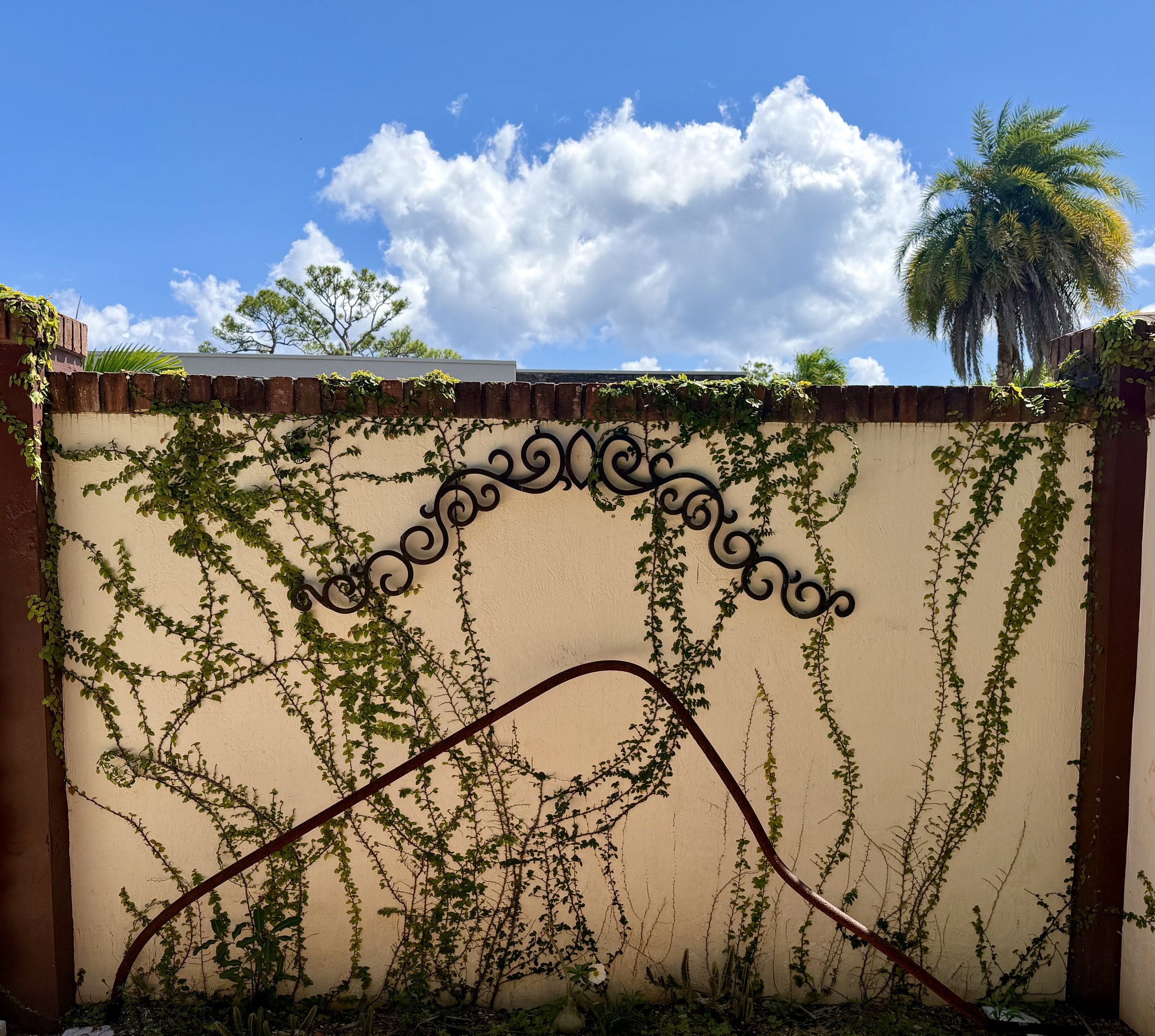 Iron Scrollwork